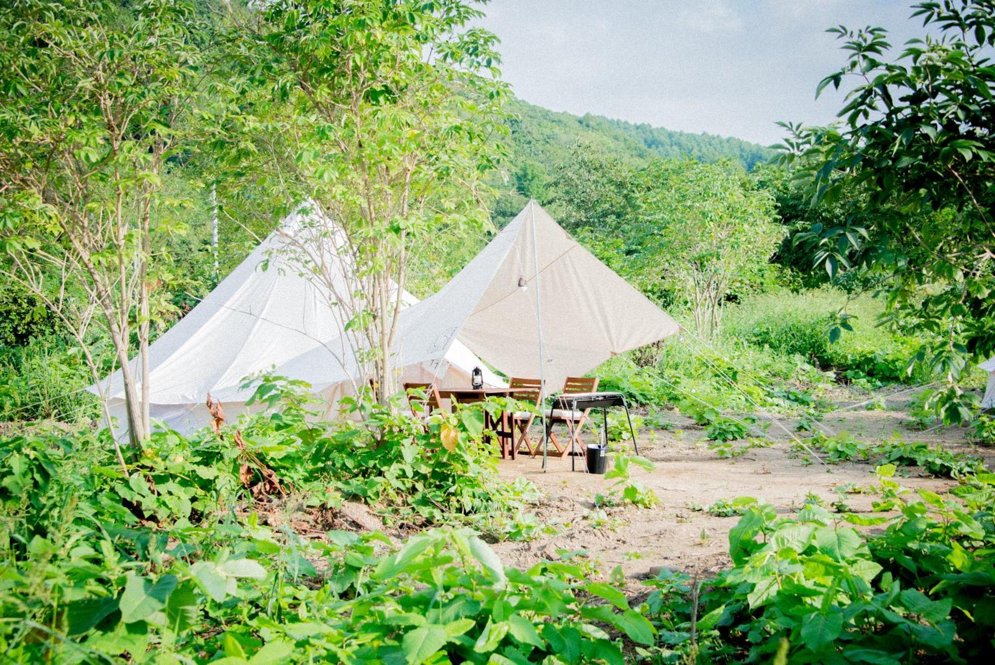 Hotel Yoichi Vineyard Glamping Zewnętrze zdjęcie